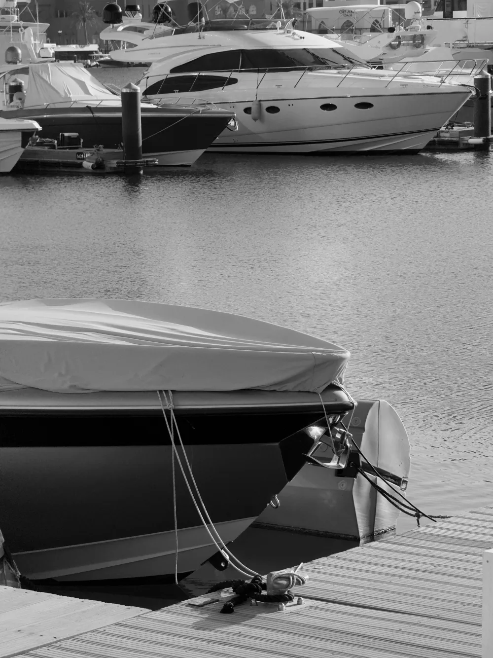 Black-and-white boats at a marina