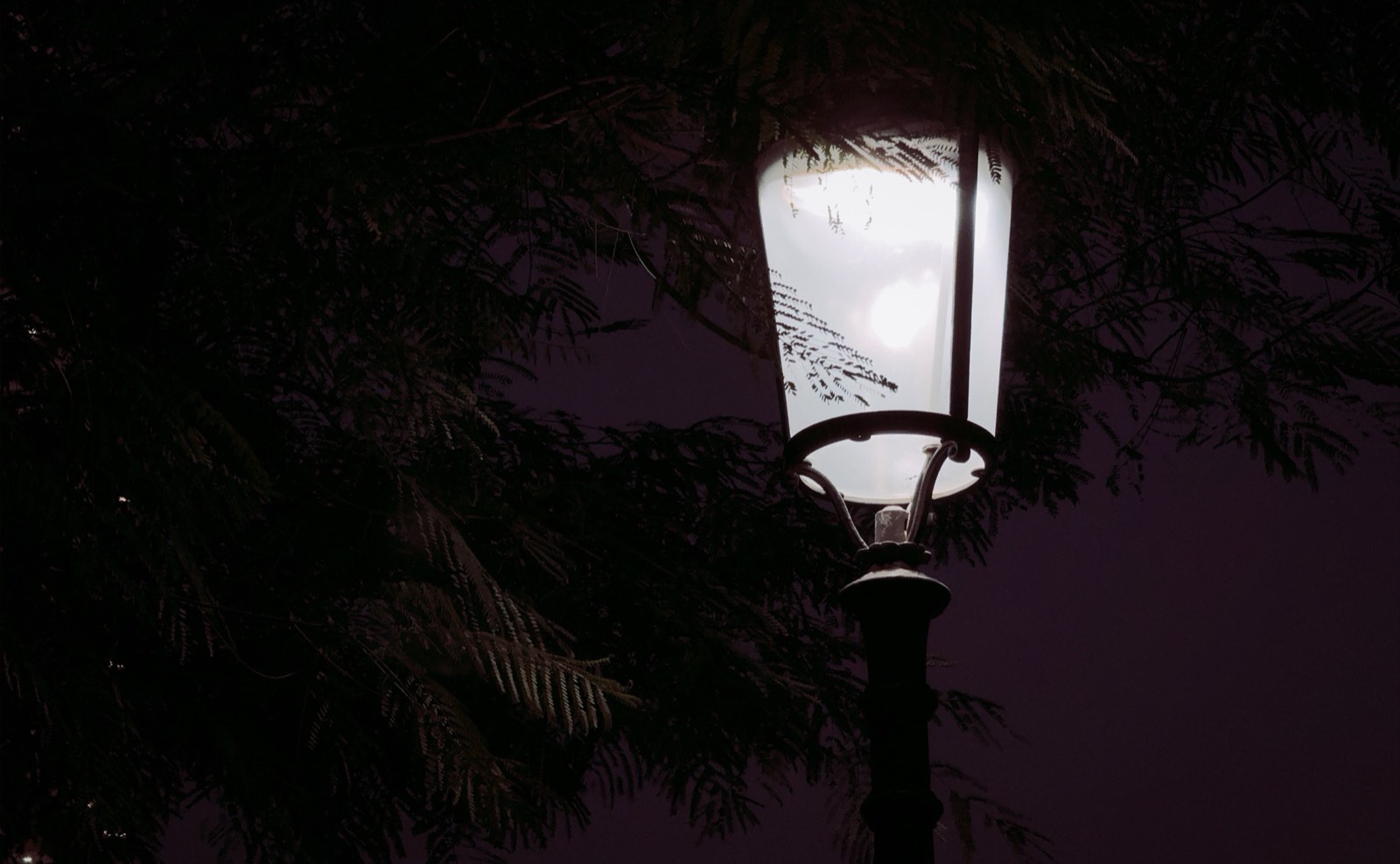 Hobby photograph 05