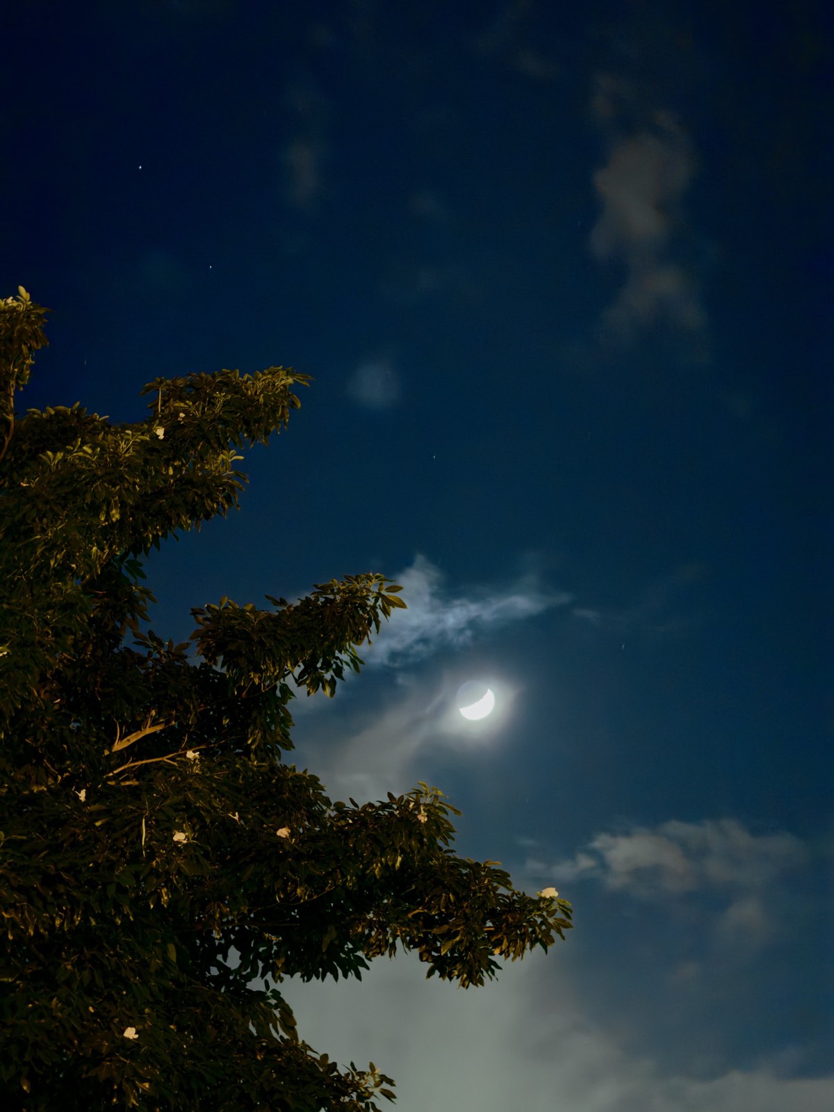 Hobby photograph 07
