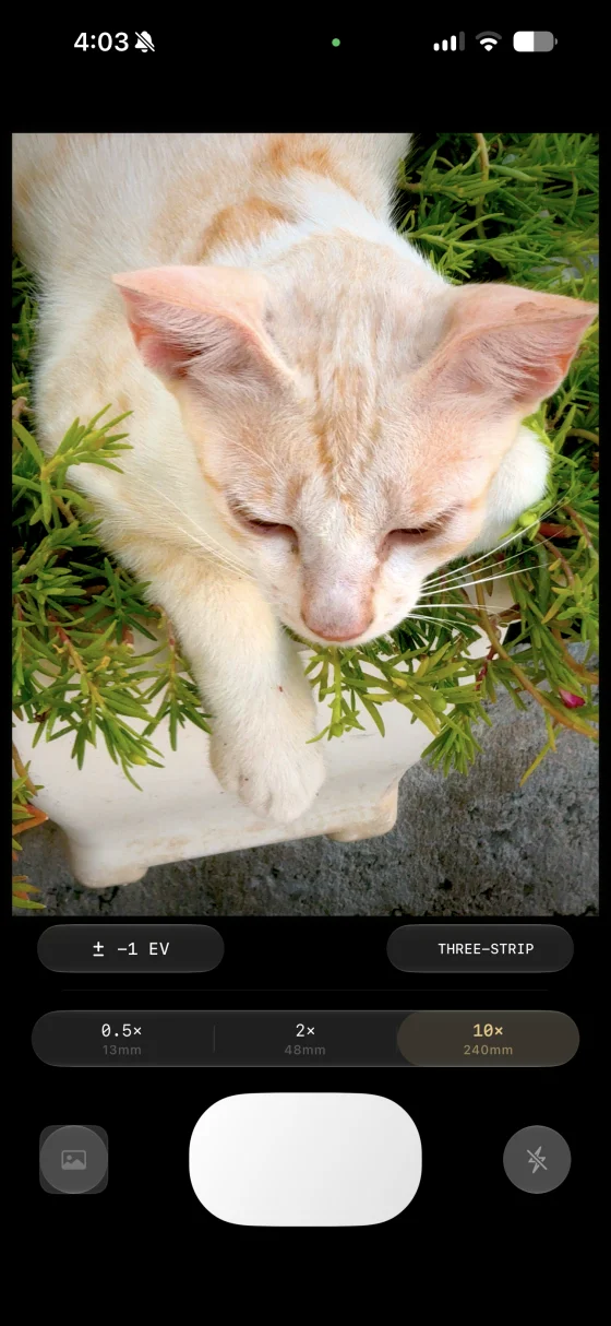 TCAM in action — a three-strip film process render of a cat, with lens and exposure controls